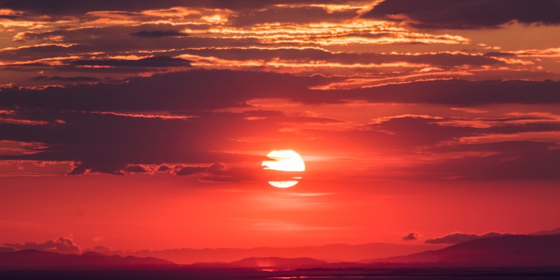 云端观赛多屏幕直播实时体育赛事画面